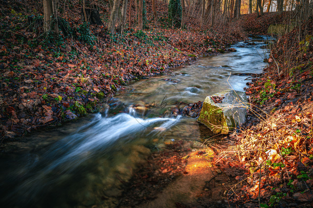 Die Leutra im Herbst | Professionelle Natur- & Landschaftsfotos als Poster, auf Leinwand & viele mehr. Wähle aus einer Vielzahl an Formaten & Materialien Dein perfektes Bild. - Realisiert mit Pictrs.com
