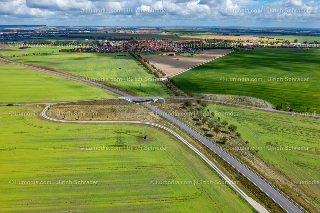 10049-51997 - Landschaft bei Harsleben | Stockfoto und Bilderpool mit Bildmaterial aus Deutschland, dem Harz, Halberstadt, Quedlinburg, Wernigerode und weltweit. Qualitativ hochwertige und professionelle Fotos anschauen und kaufen. - Realisiert mit Pictrs.com