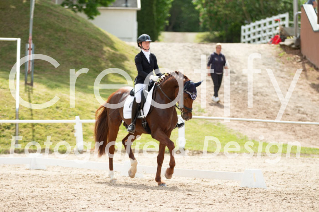 IMG_2537 | Creatify Fotografie