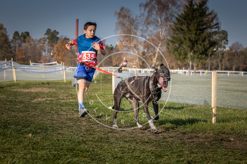 CaniXpix_0L8A8897 | Hundefotografie, Tierfotograf, Pfotenfotografie, Fotoshooting Hund, Hunde Portrait, Hundesport, Hundeportraits, Heideshooting, Hunde, Sportfotograf, Hundefotograf, Turnierhundsport, THS,  - Realisiert mit Pictrs.com