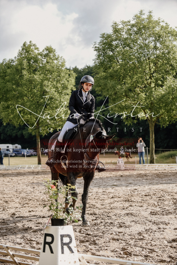 DSC_8625 | Pferde- und Turnierfotografie in Westsachsen. Pferdeportraits, Auftragszeichnungen und intuitive Kunst.