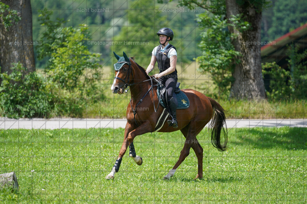 20240622-FAH07006 | Turnierfotografen Bayern, Reitsportbilder aus dem Geländekurs mit Felix Etzel auf dem Gut Waitzacker 2024