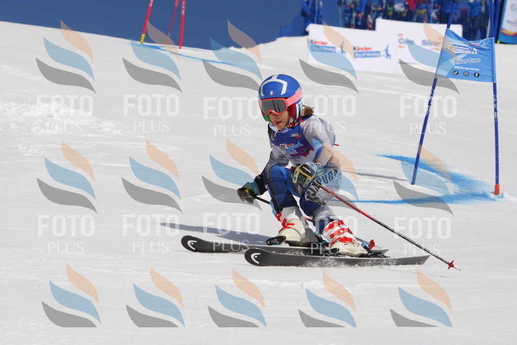 _W1G0055 | holidayphoto