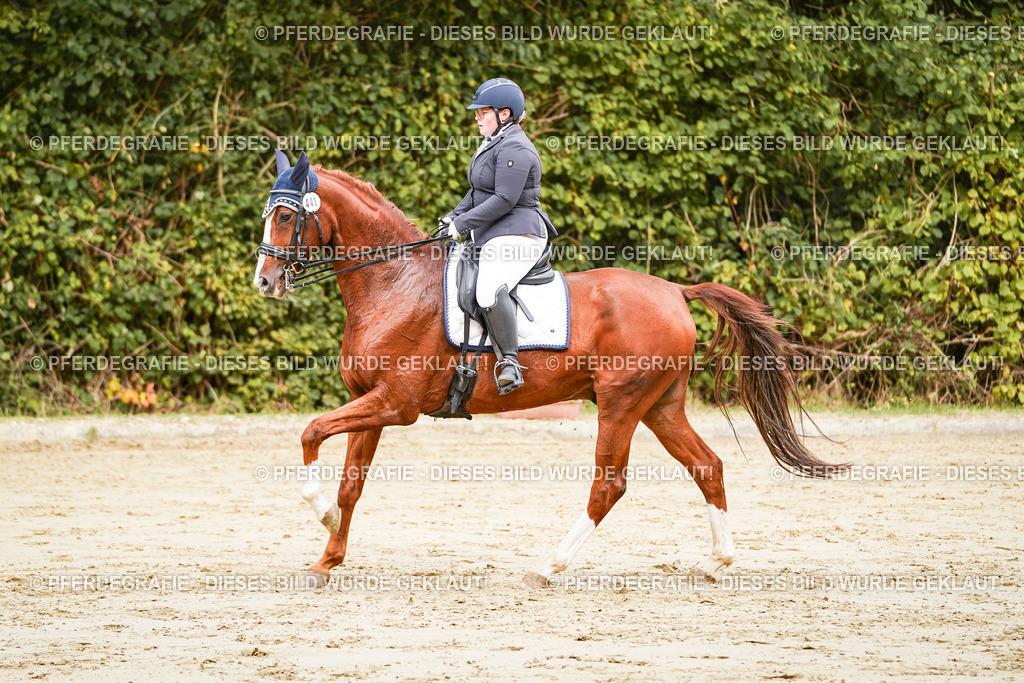 DSC03303 | Pferdegrafie