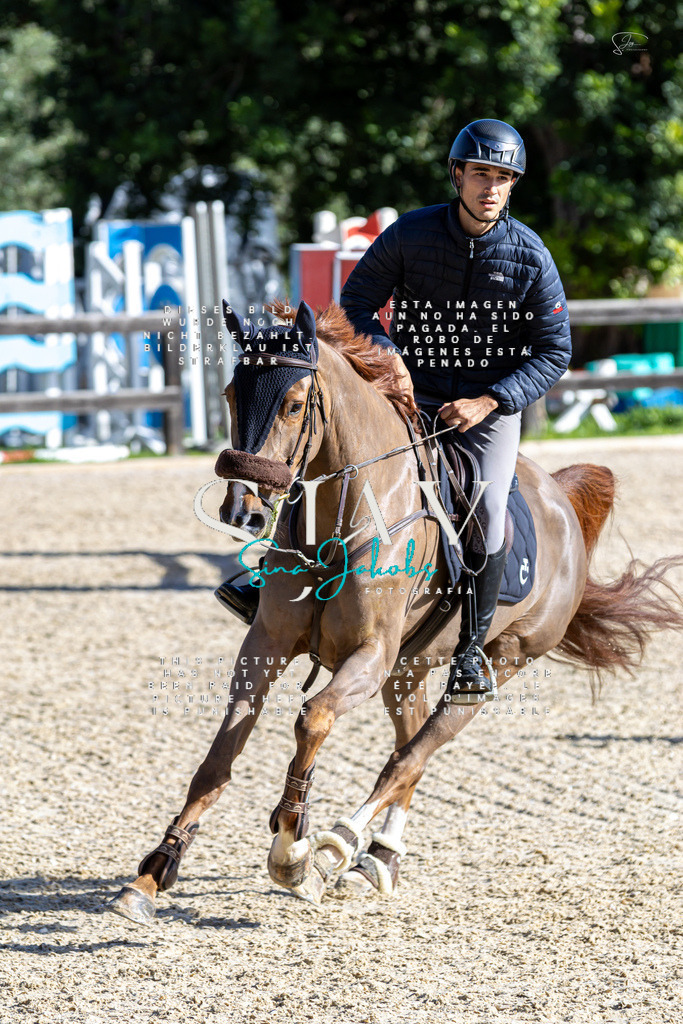 IMG_0528 | s-jay-photography - Realisiert mit Pictrs.com