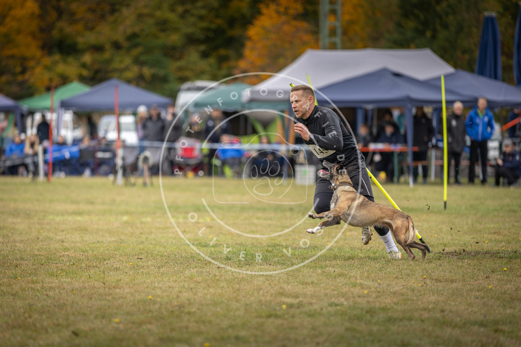 Pfotenfotografie_DV3A8036 | Hundefotografie, Tierfotograf, Pfotenfotografie, Fotoshooting Hund, Hunde Portrait, Hundesport, Hundeportraits, Heideshooting, Hunde, Sportfotograf, Hundefotograf, Turnierhundsport, THS,  - Realisiert mit Pictrs.com
