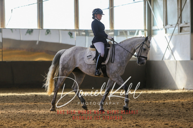 IMG_2418 | Turniersportfotografie; Pferdefotografie; Dressurfotografie