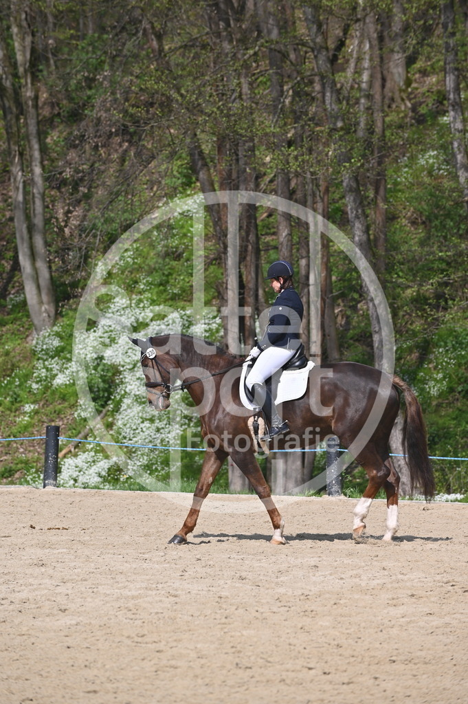 DSC_1041 | sattelsport - Realisiert mit Pictrs.com