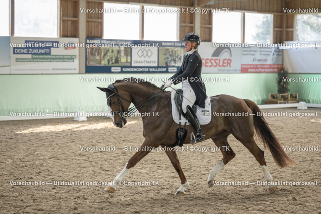 _D5A6636 | Emotionale Pferde- & People-Fotografie rund um Heidelberg, Leimen & Umgebung. Natürliche Fotos von Pferd, Mensch & Familie. Jetzt Termin sichern!