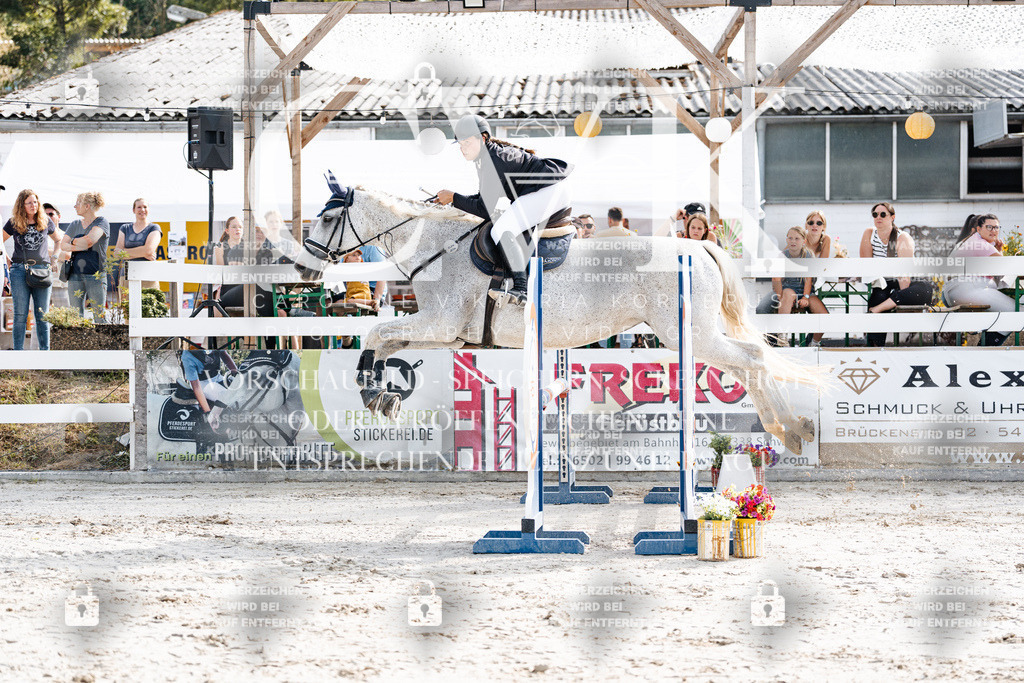 CK905500 | Turnierfotografie Pferdefotografie Trier Rheinland-Pfalz Pferdesport Reitsport Tierfotografie Sportfotografie Pferdevideo Pferdevideografie Equestrianvideography equestrianphotography  - Realisiert mit Pictrs.com