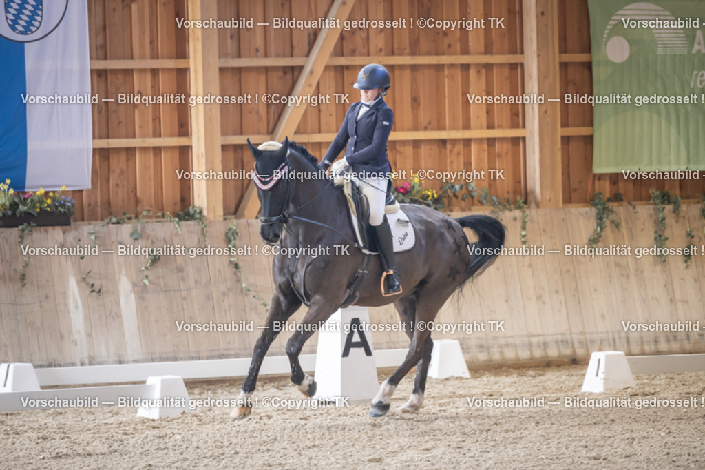 _D5A2145 | Emotionale Pferde- & People-Fotografie rund um Heidelberg, Leimen & Umgebung. Natürliche Fotos von Pferd, Mensch & Familie. Jetzt Termin sichern!