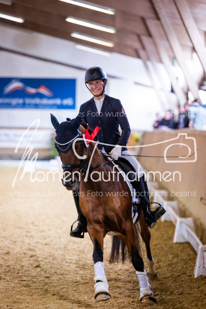 Sth-A-Dre-2St-256 | MomenTaufnahmen Pferdesportfotos