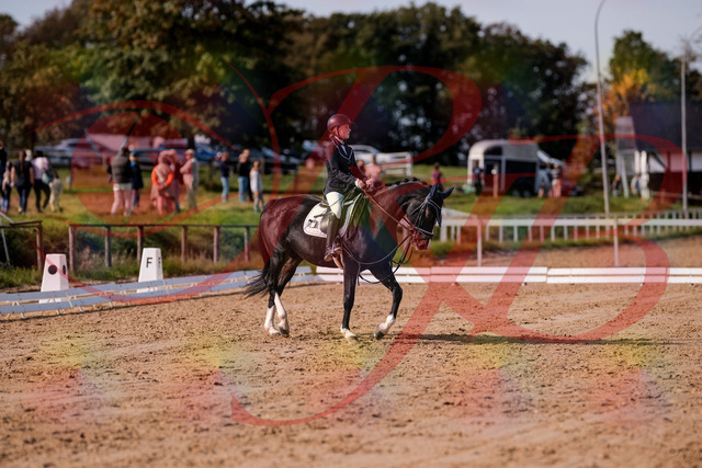 2026_10_03_Siefer-Hof_121534_Z81_17043845 | Professionelle Reitsport-, Turnier- und Eventfotografie von Robert Broda. Galerien mit ausgewählten und bearbeiteten Bildern direkt online ansehen und bestellen.
