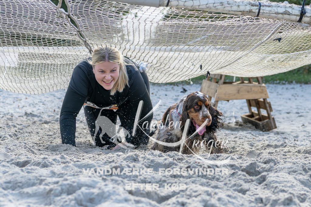 1248_ZZ93741 | kk-dogfotos