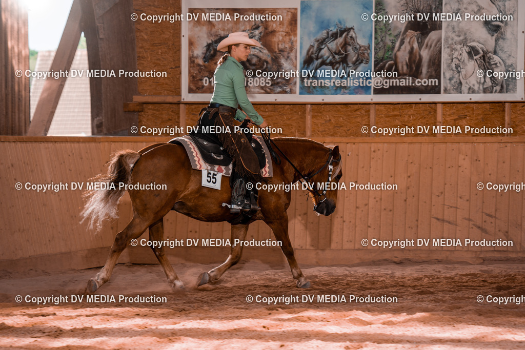 NE100910 | dv-media-shop - Realisiert mit Pictrs.com