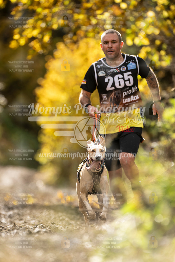 MompixPhotography_ICF_WC_2024_SA_Run_-80 | PayLife