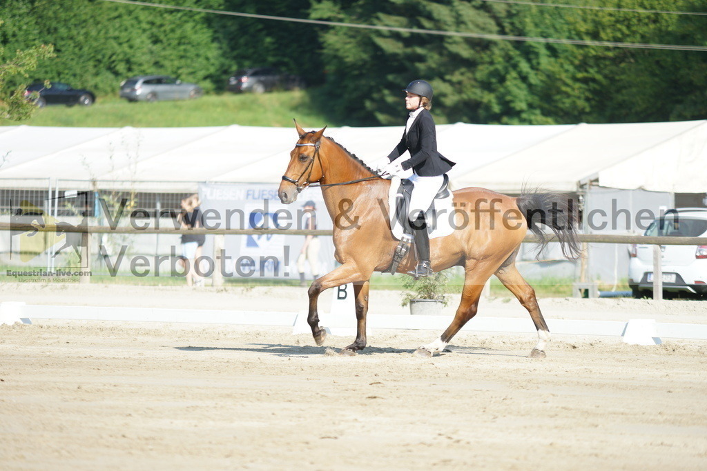 DSC04066 | equestrian-live-com