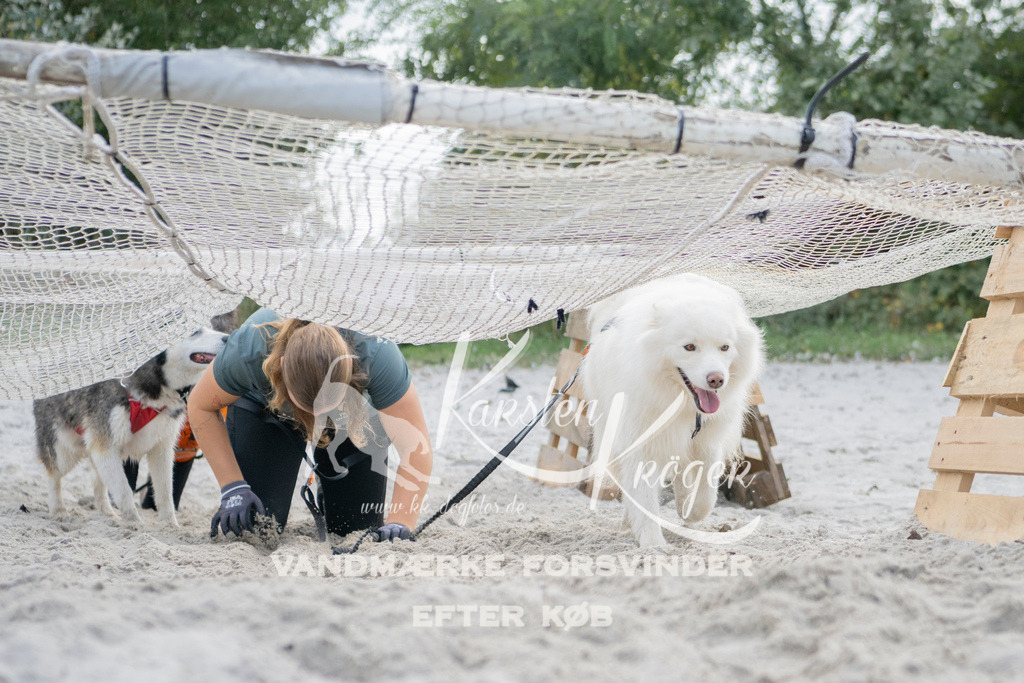 1359_ZZ98963 | kk-dogfotos