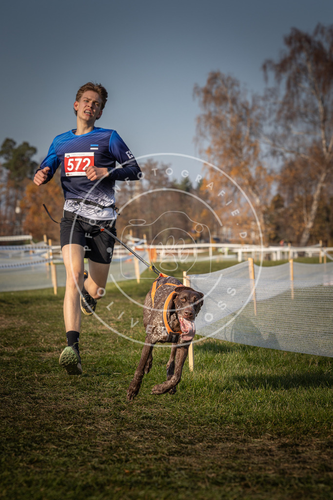 CaniXpix_0L8A9584 | Hundefotografie, Tierfotograf, Pfotenfotografie, Fotoshooting Hund, Hunde Portrait, Hundesport, Hundeportraits, Heideshooting, Hunde, Sportfotograf, Hundefotograf, Turnierhundsport, THS,  - Realisiert mit Pictrs.com