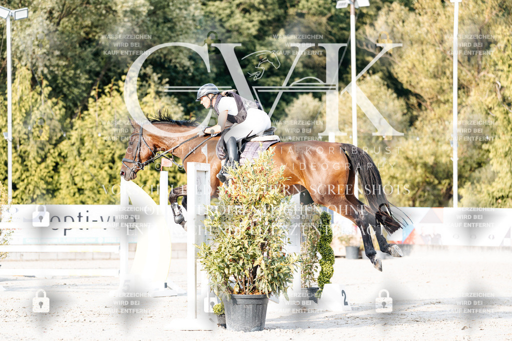 CK903402 | Turnierfotografie Pferdefotografie Trier Rheinland-Pfalz Pferdesport Reitsport Tierfotografie Sportfotografie Pferdevideo Pferdevideografie Equestrianvideography equestrianphotography  - Realisiert mit Pictrs.com