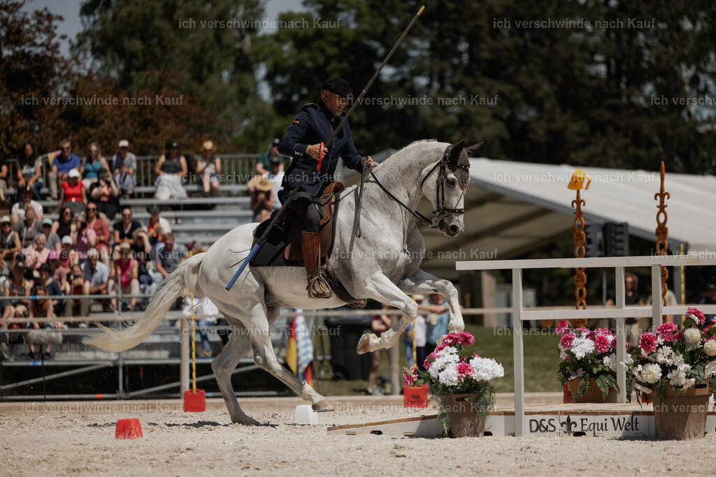 WE_SP_Stoib_327_PI2025_1924 | Pferd International München 2025