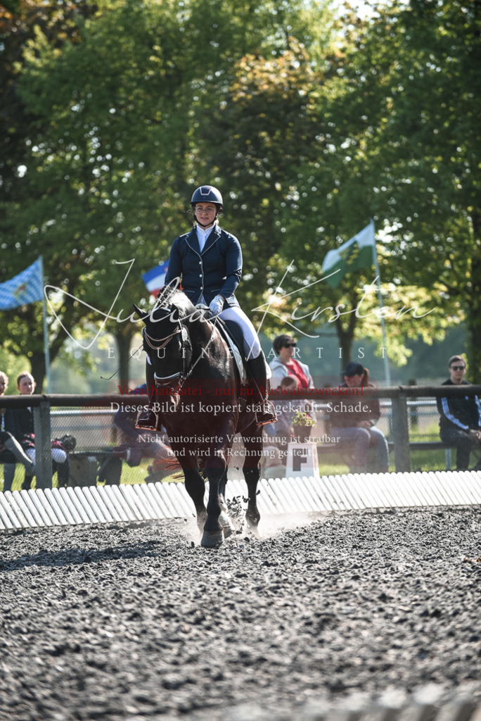 DSC_8462 | Pferde- und Turnierfotografie in Westsachsen. Pferdeportraits, Auftragszeichnungen und intuitive Kunst.