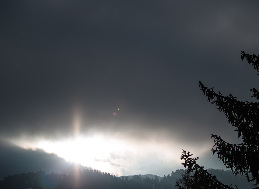 PSX_20230130_231658 | OLYMPUS DIGITAL CAMERA - Realisiert mit Pictrs.com