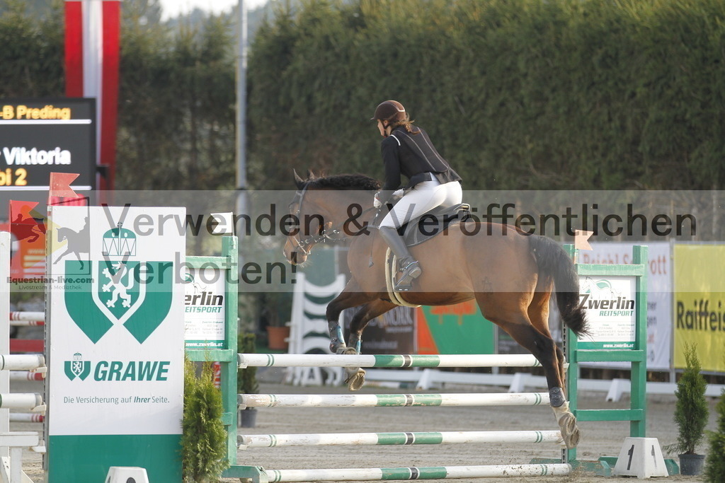 _MG_8790 | equestrian-live-com