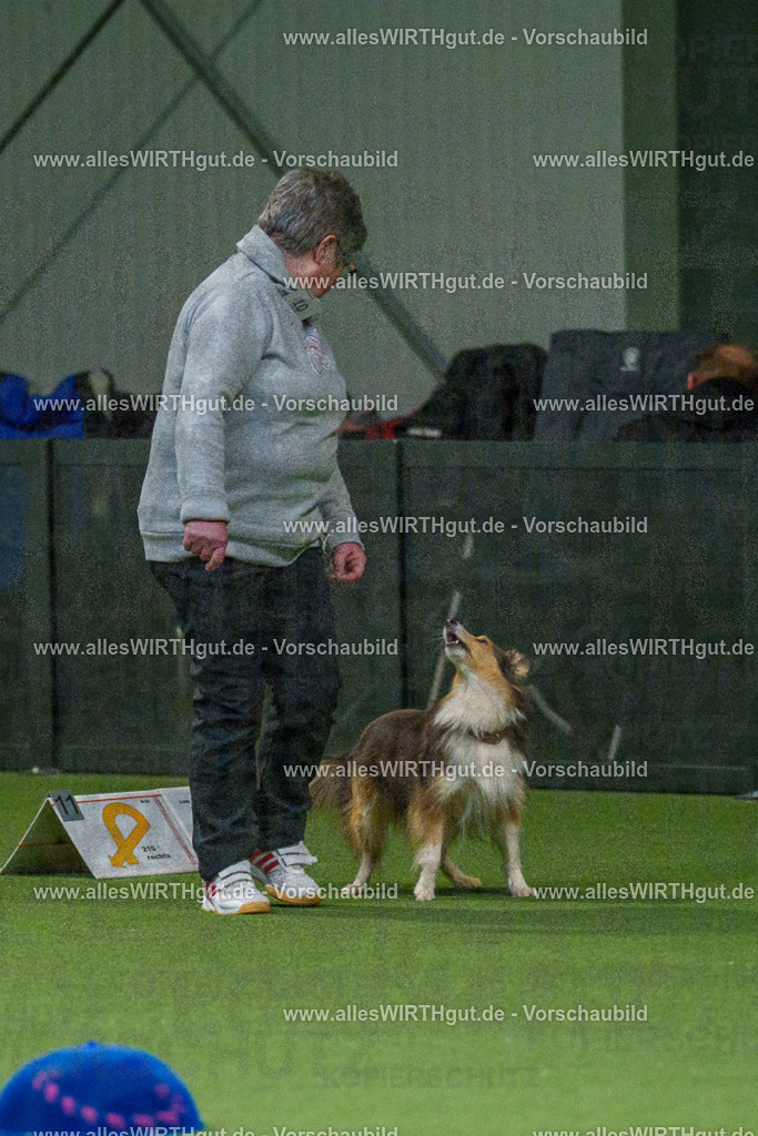 7R504847 | Professionelle Tierfotografie in Mönchengladbach von Daniel Wirth (allesWIRTHgut). Liebevolle & natürliche Bilder von Hunden & Katzen für unvergessliche Erinnerungen.