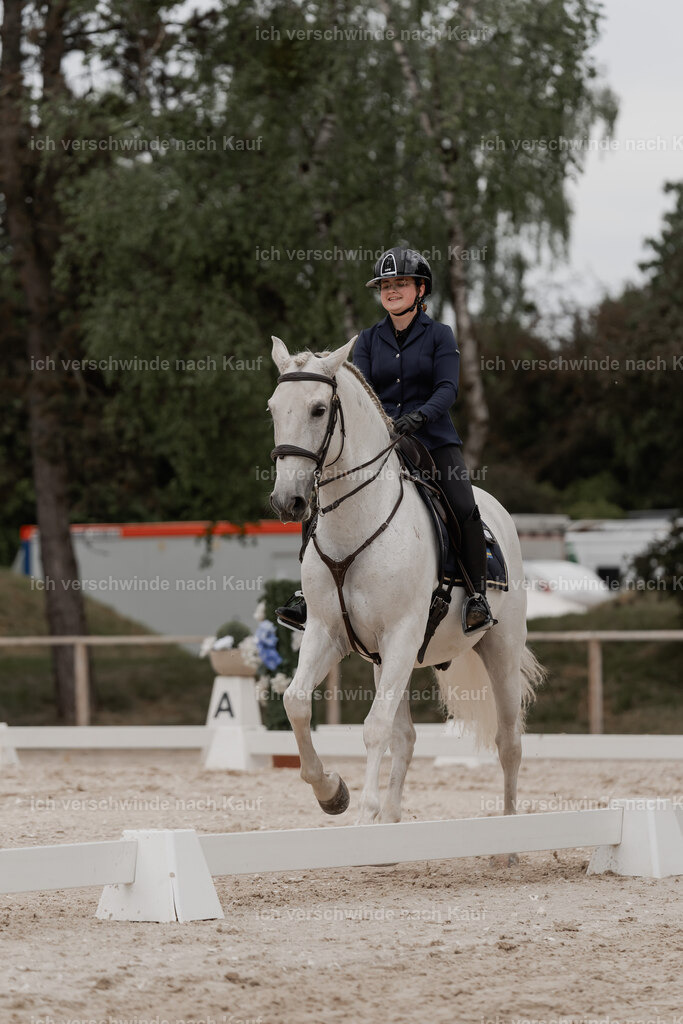 WE_DR_Stoib_328_PI2025_422 | Pferd International München 2025