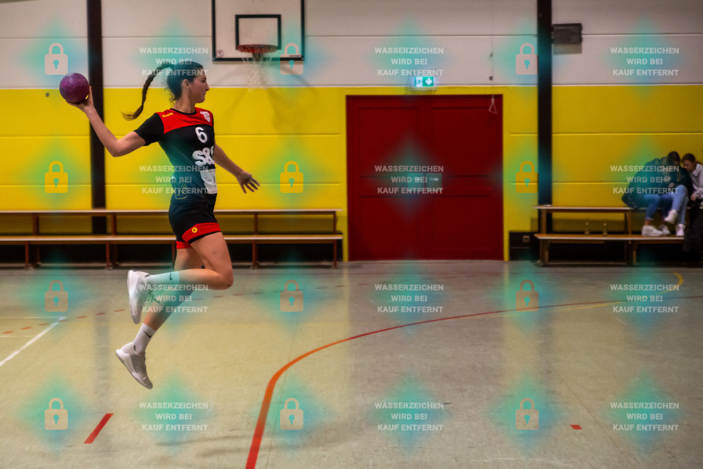 _HP_7249_3000o | TV Welling Damen vs. HSG ObereNahe 04.02.2024