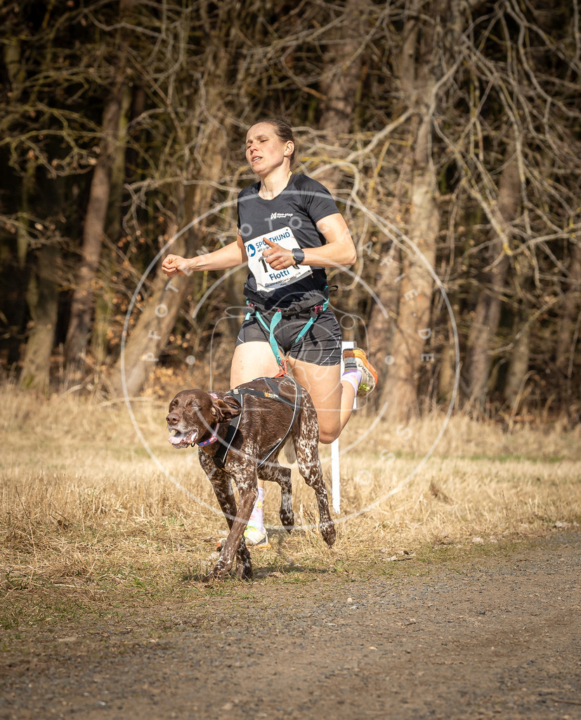 DV3A5622 | Hundefotografie, Tierfotograf, Pfotenfotografie, Fotoshooting Hund, Hunde Portrait, Hundesport, Hundeportraits, Heideshooting, Hunde, Sportfotograf, Hundefotograf, Turnierhundsport, THS,  - Realisiert mit Pictrs.com