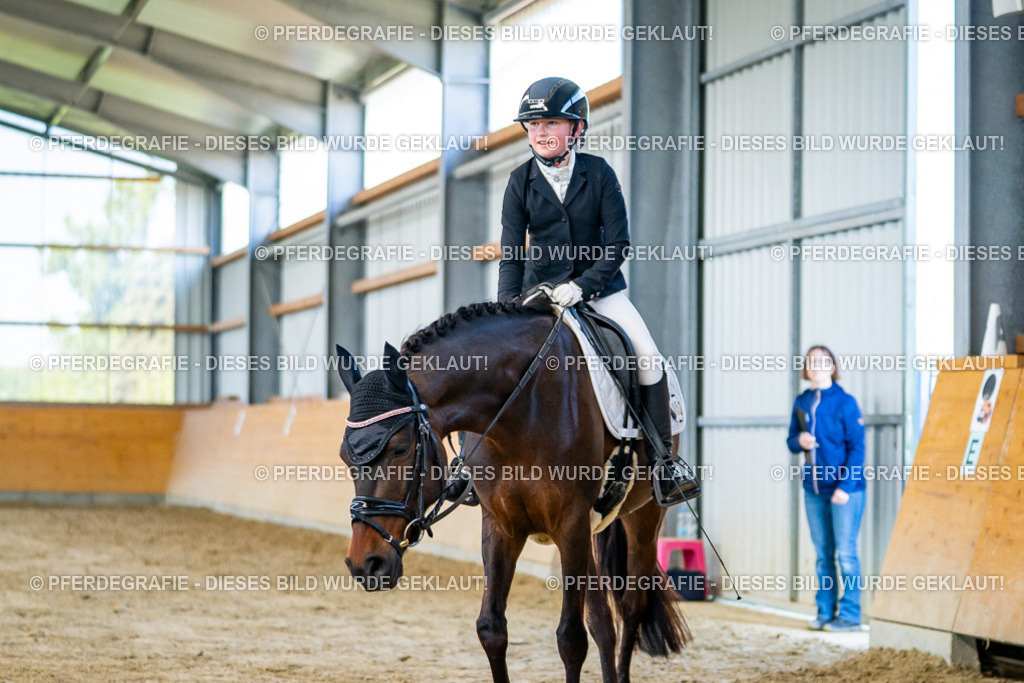 DSC06409 | Pferdegrafie