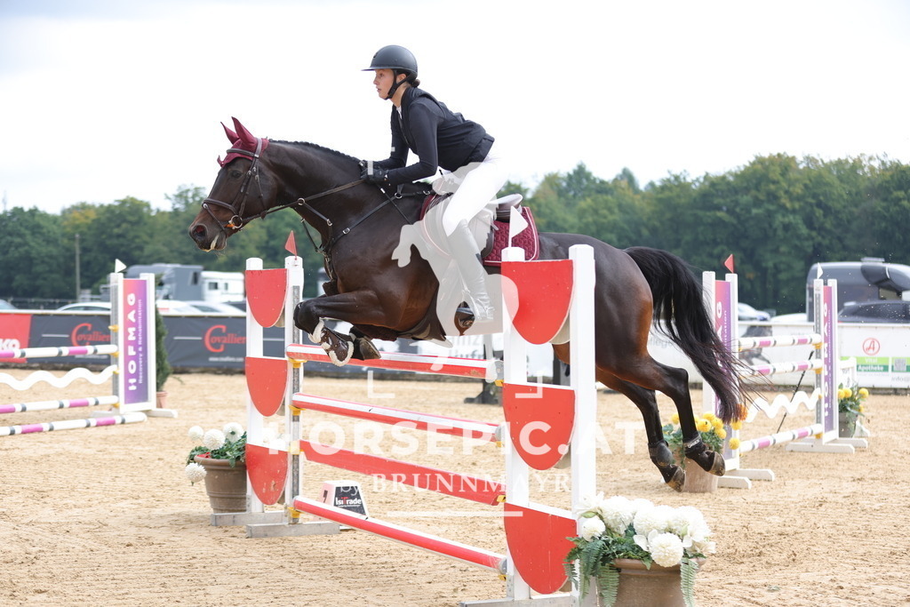 0P6A6650 | Willkommen bei Brunnmayr - Design & Fotografie – Ihrem Spezialisten für Reitturniere und Pferdeveranstaltungen in Oberösterreich, Salzburg und Bayern! Seit über 17 Jahren sind wir leidenschaftlich dabei.