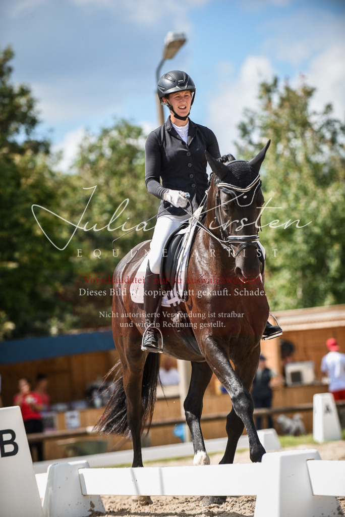 DSC_9074 | Pferde- und Turnierfotografie in Westsachsen. Pferdeportraits, Auftragszeichnungen und intuitive Kunst.