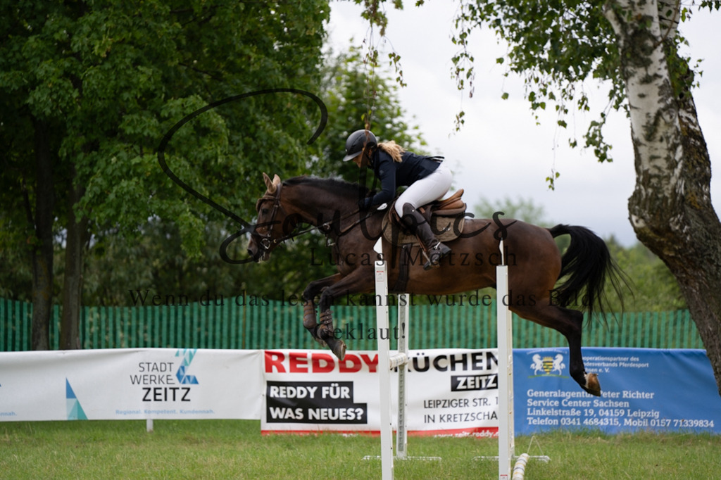 A7V03951 | Pferdefotograf