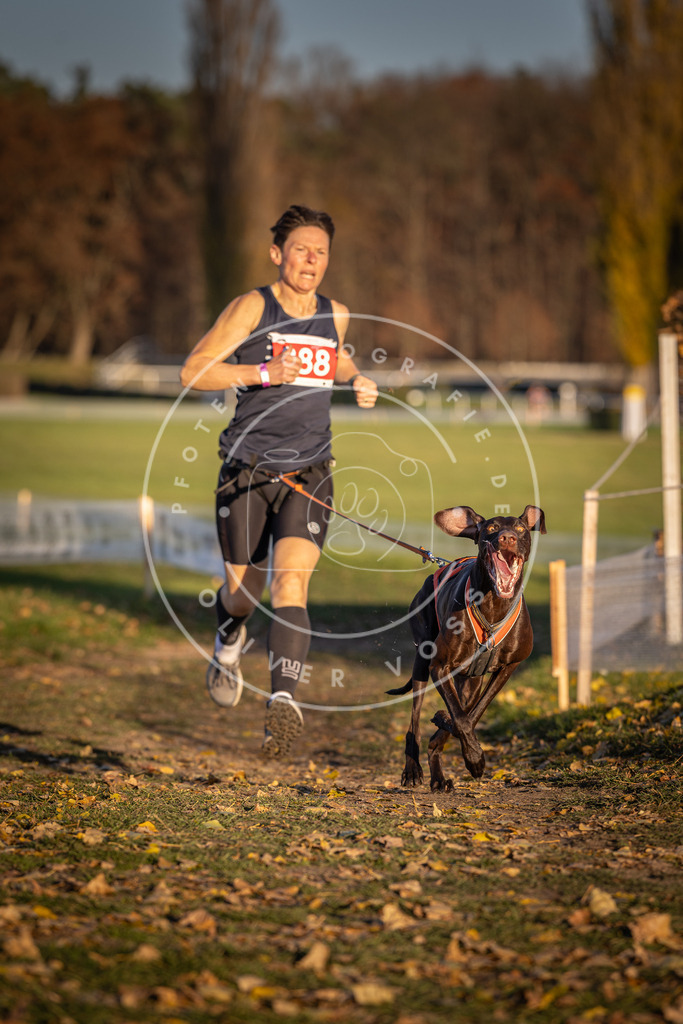 CaniXpix_DV3A4470 | Hundefotografie, Tierfotograf, Pfotenfotografie, Fotoshooting Hund, Hunde Portrait, Hundesport, Hundeportraits, Heideshooting, Hunde, Sportfotograf, Hundefotograf, Turnierhundsport, THS,  - Realisiert mit Pictrs.com