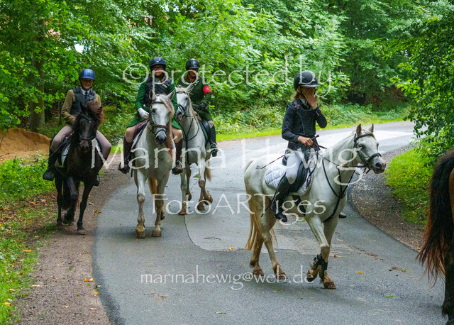 Jagd Kletkamp 26-02784_MarinaHewig | Fotografie, FotoArt, PferdesportArt, Pferdesportfotografie, Landschaftsfotografie, Reisefotografie, Reise, Pferde - Realisiert mit Pictrs.com