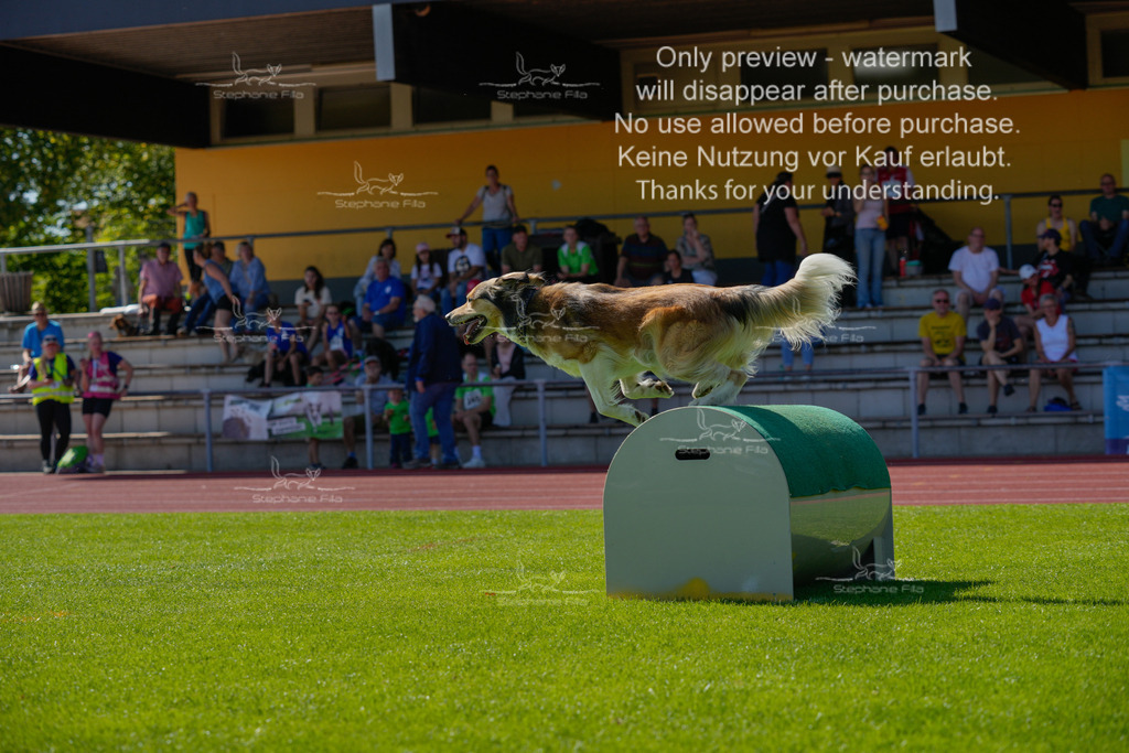 Sonntag_VK Hindernis (603 von 671) | stephaniefillaphotographie - Realisiert mit Pictrs.com