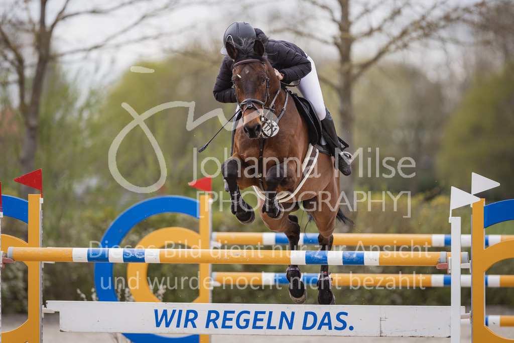 230426_HofSosath_S-Spr-408 | Deine schönsten Turniermomente als professionelle Fotos! Entdecke hochwertige Pferdesport-Fotografie im Online-Shop. Jetzt Fotos finden & bestellen!