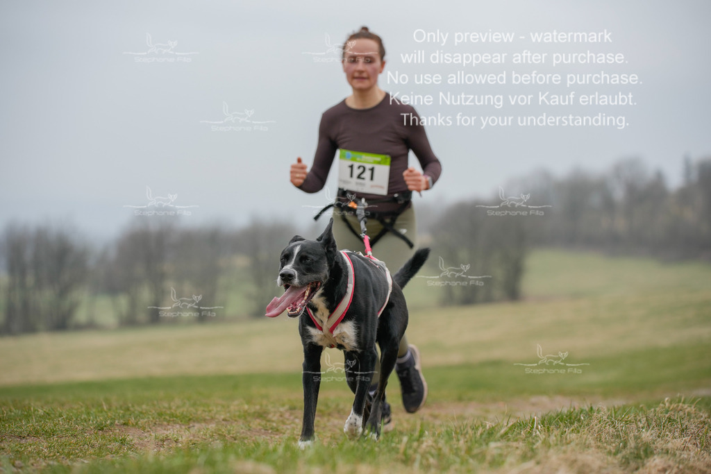 Canixlong-164 | stephaniefillaphotographie - Realisiert mit Pictrs.com