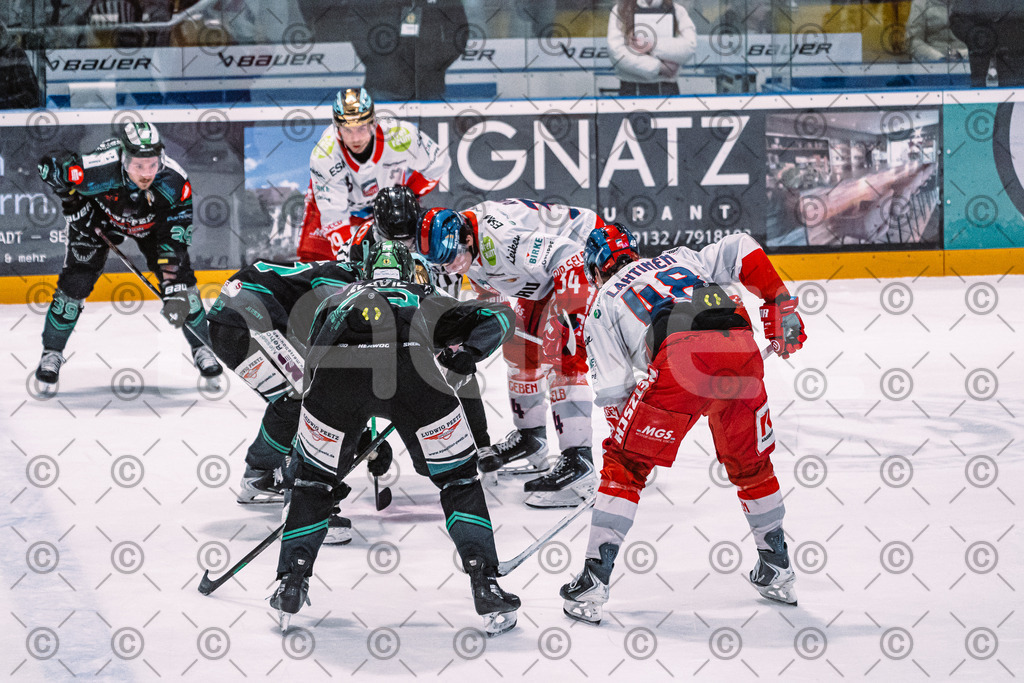 Alligators_vs_Selb_27_02_2026-15 | Höchstadt Alligators Fotogalerie: Eishockey-Action aus Franken. Professionelle Spielfotos, Portraits & Stadionbilder zum Download. Jetzt entdecken! - Realisiert mit Pictrs.com