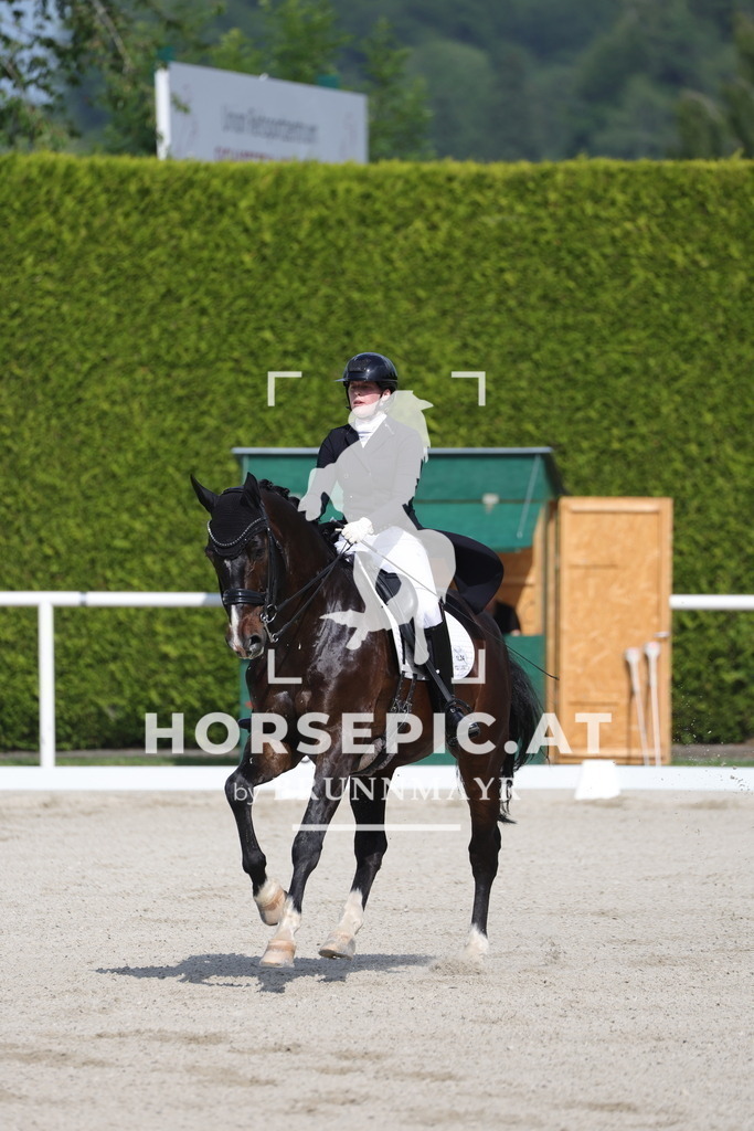 0P6A6745 | Willkommen bei Brunnmayr - Design & Fotografie – Ihrem Spezialisten für Reitturniere und Pferdeveranstaltungen in Oberösterreich, Salzburg und Bayern! Seit über 17 Jahren sind wir leidenschaftlich dabei.