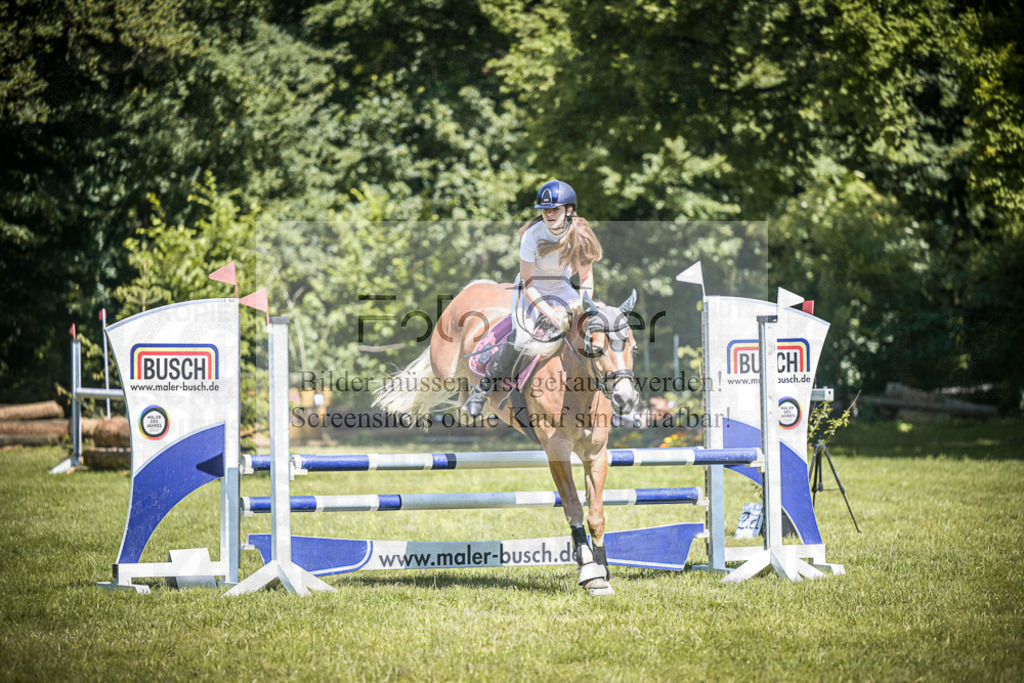 DOS_3487 | Entdecke hochwertige Reitturnierfotos von Foto Oger. Professionell, emotional und authentisch – jetzt Lieblingsmomente im Shop bestellen.Deutschlandweite Turnierfotografie. - Realisiert mit Pictrs.com