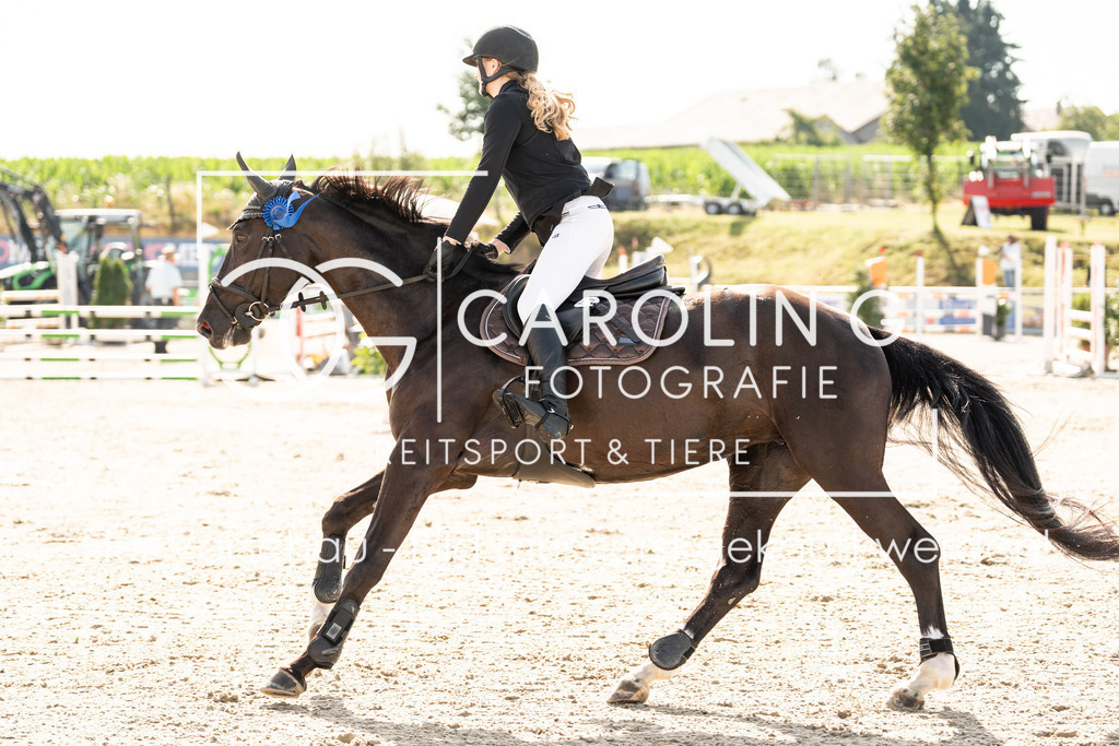 DSC06162 | Turnierfotografin Carolin Gieschke, Turnierfotografie Carolin G Fotografie, Turnierfotos Kirchheim/Teck, Esslingen, Stuttgart, Bodenseekreis