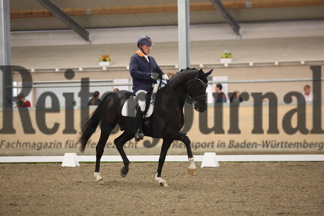 Waghäusel-Wiesental_2024_Prfg.Nr.08_1.WP_U25_Pieter van der Raadt_Bahiro (4) | Alle Fotos der Reiterjournal Fotografin Doris Matthaes im Reiterjournal Online-Fotoshop. - Realisiert mit Pictrs.com