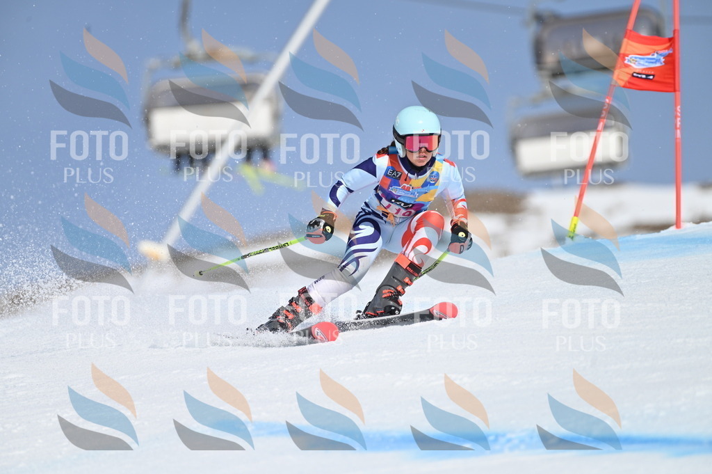 BGV_9787 | holidayphoto