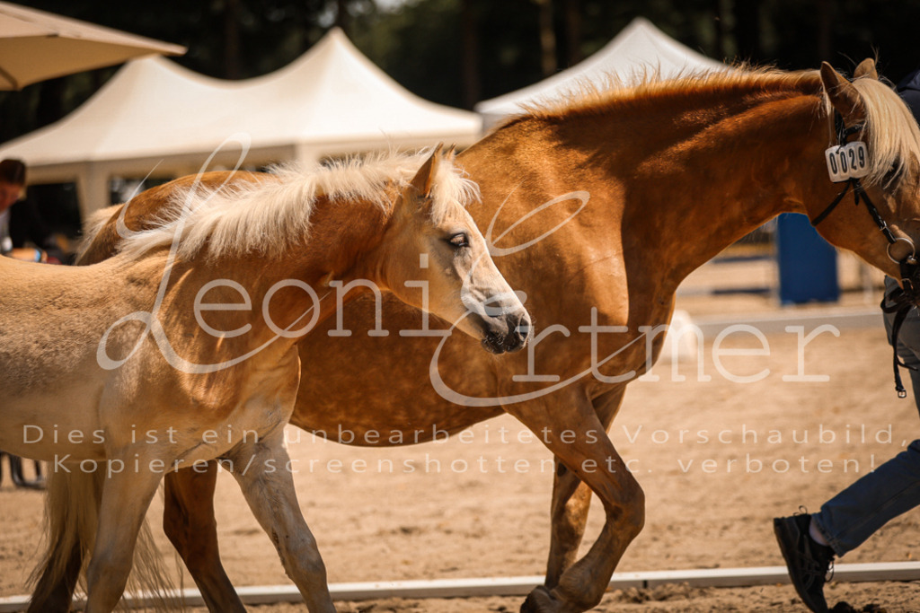 06.DoH00058 | Leoni Ertmer Photography - Realisiert mit Pictrs.com