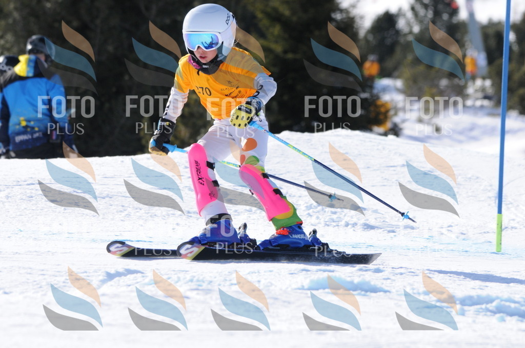 C7055 | holidayphoto