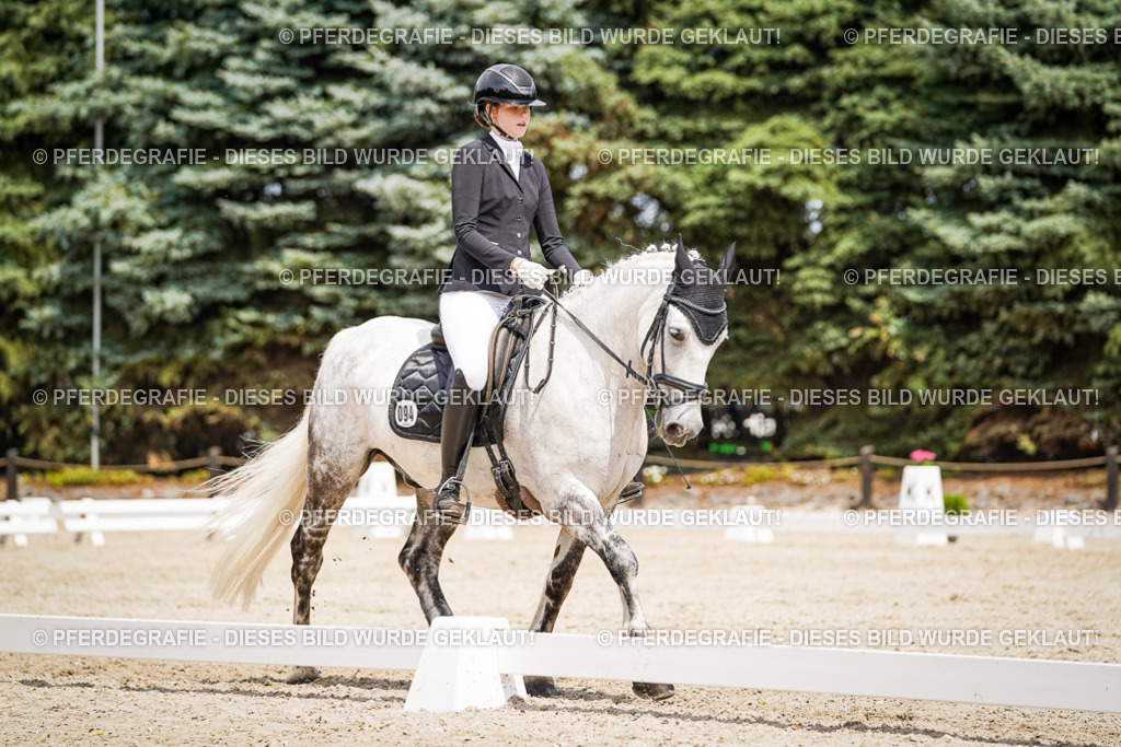 DSC03561 | Pferdegrafie